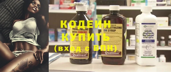 твердый Бородино
