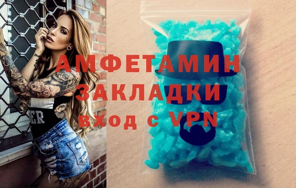 крисы Бронницы