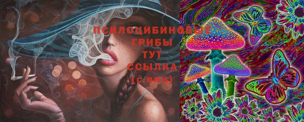 твердый Бородино