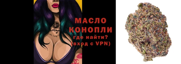 твердый Бородино