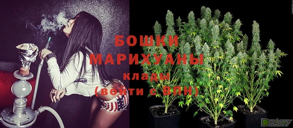 твердый Бородино