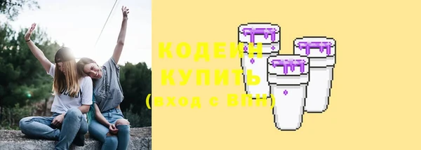 твердый Бородино