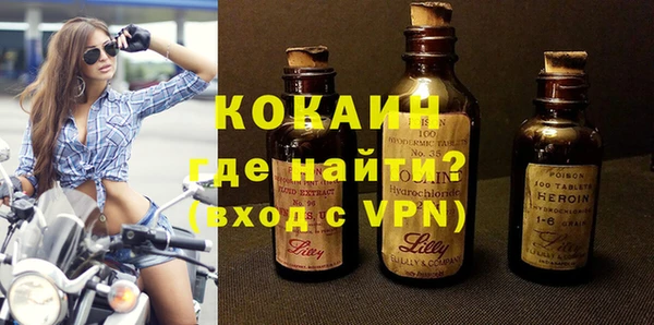твердый Бородино