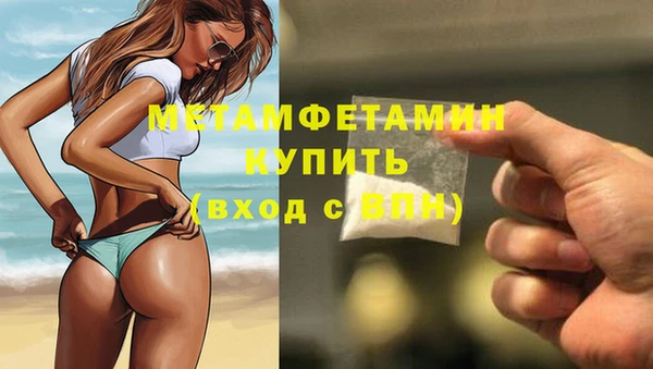 твердый Бородино