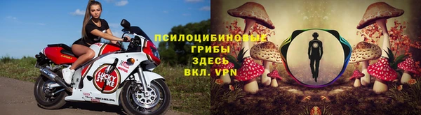 крисы Бронницы