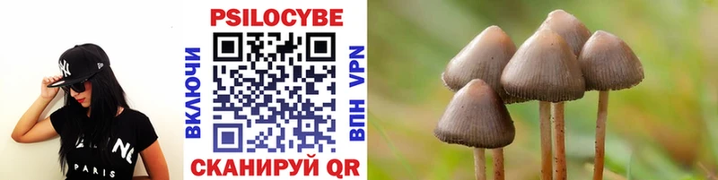 Псилоцибиновые грибы MAGIC MUSHROOMS  ОМГ ОМГ маркетплейс  Семёнов 